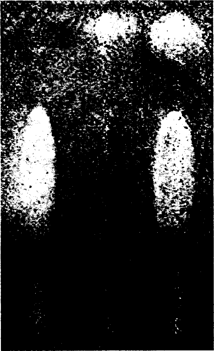 Determination method of effective component in aliphatic oil