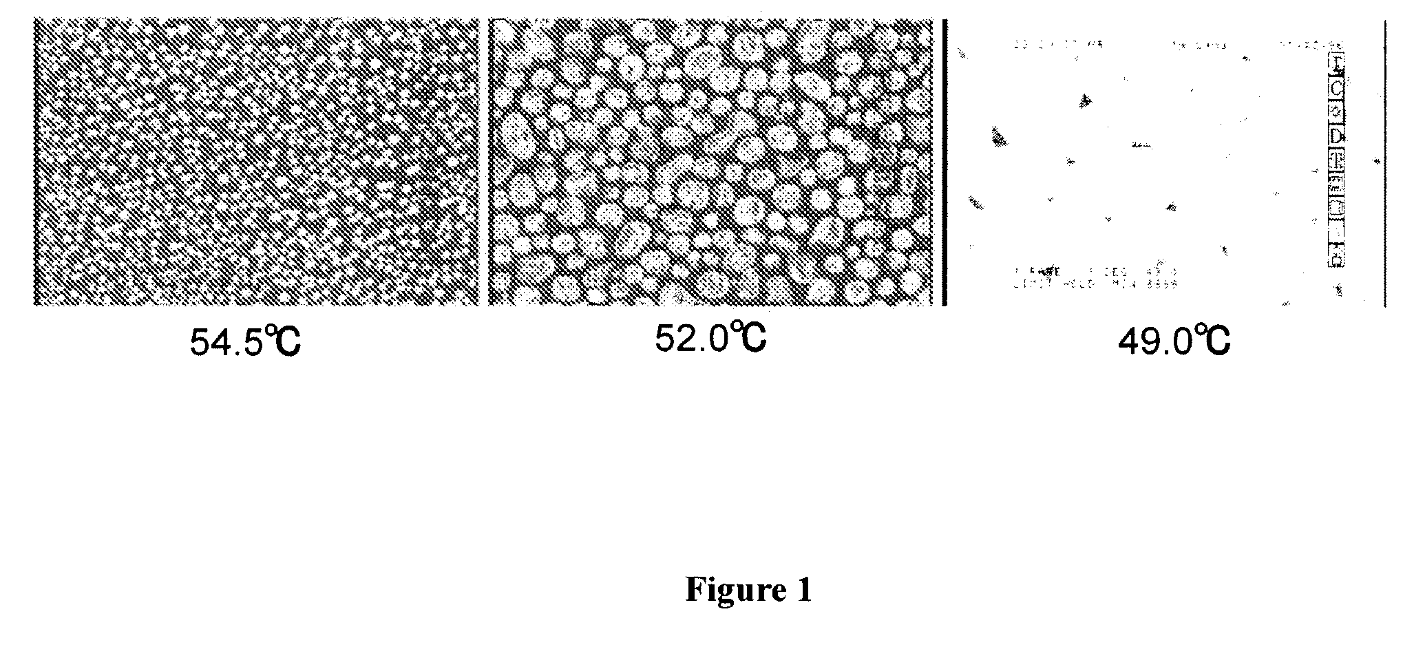 Polymer/liquid crystal composite and liquid crystal element