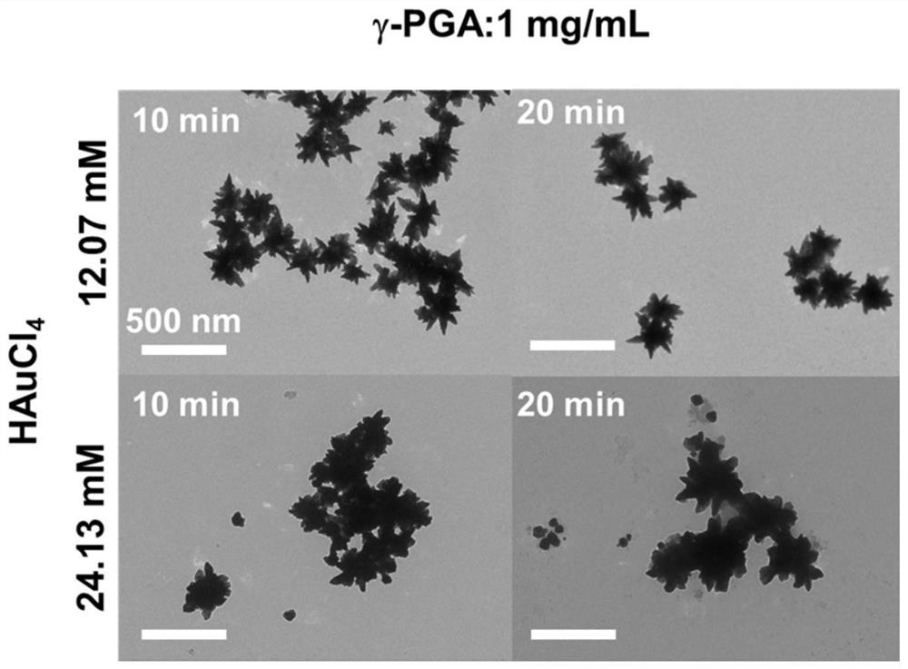 Star-shaped gold nanoparticles synthesized based on polyglutamic acid in one step and preparation method thereof