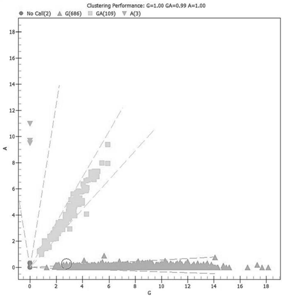 Special primer for detecting SNP site of invasive aspergillosis risk after allogeneic hematopoietic stem cell transplantation and application