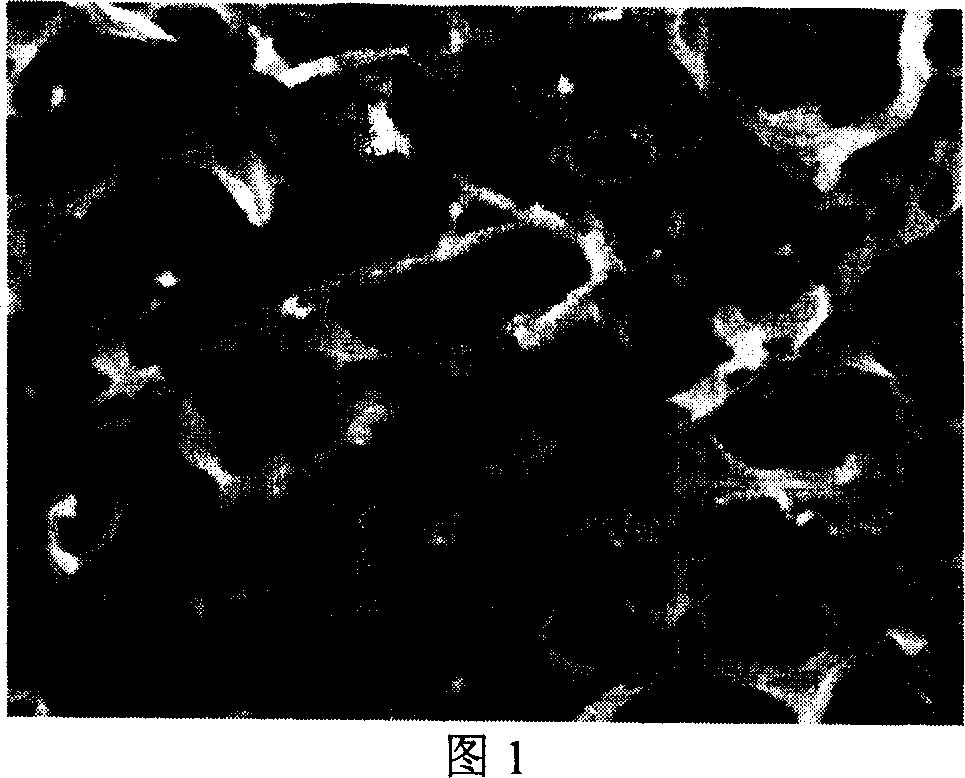 Method of preparing C-doped porous nanometer TiO2 photocatalyst with egg shell membrane as template