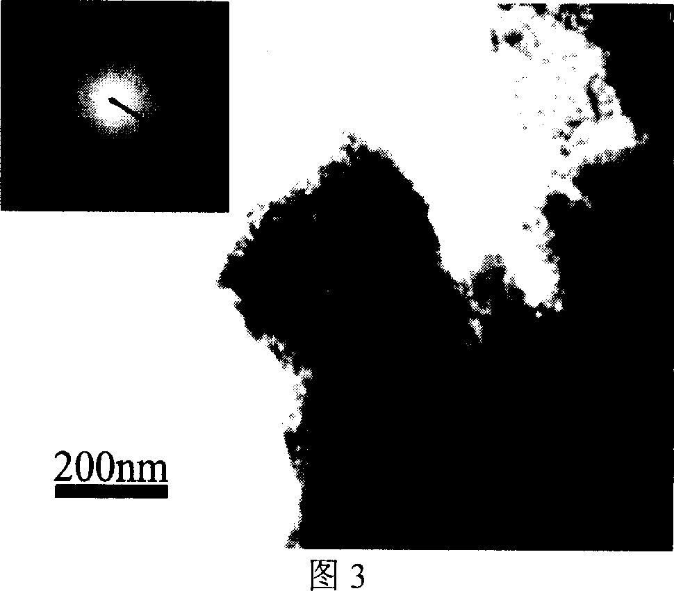 Method of preparing C-doped porous nanometer TiO2 photocatalyst with egg shell membrane as template