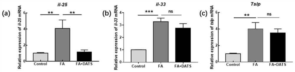 Application of diallyl trisulfide to food allergies