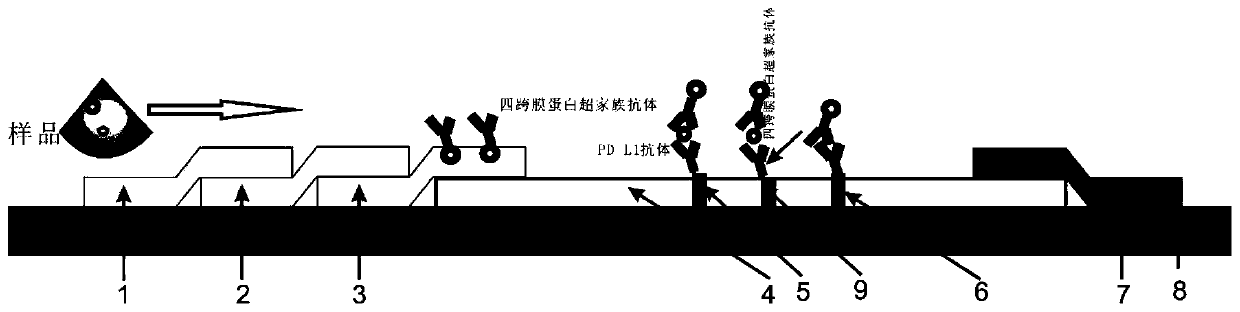 Rapid detection platform and method ofPD-L1 exosome in vitro