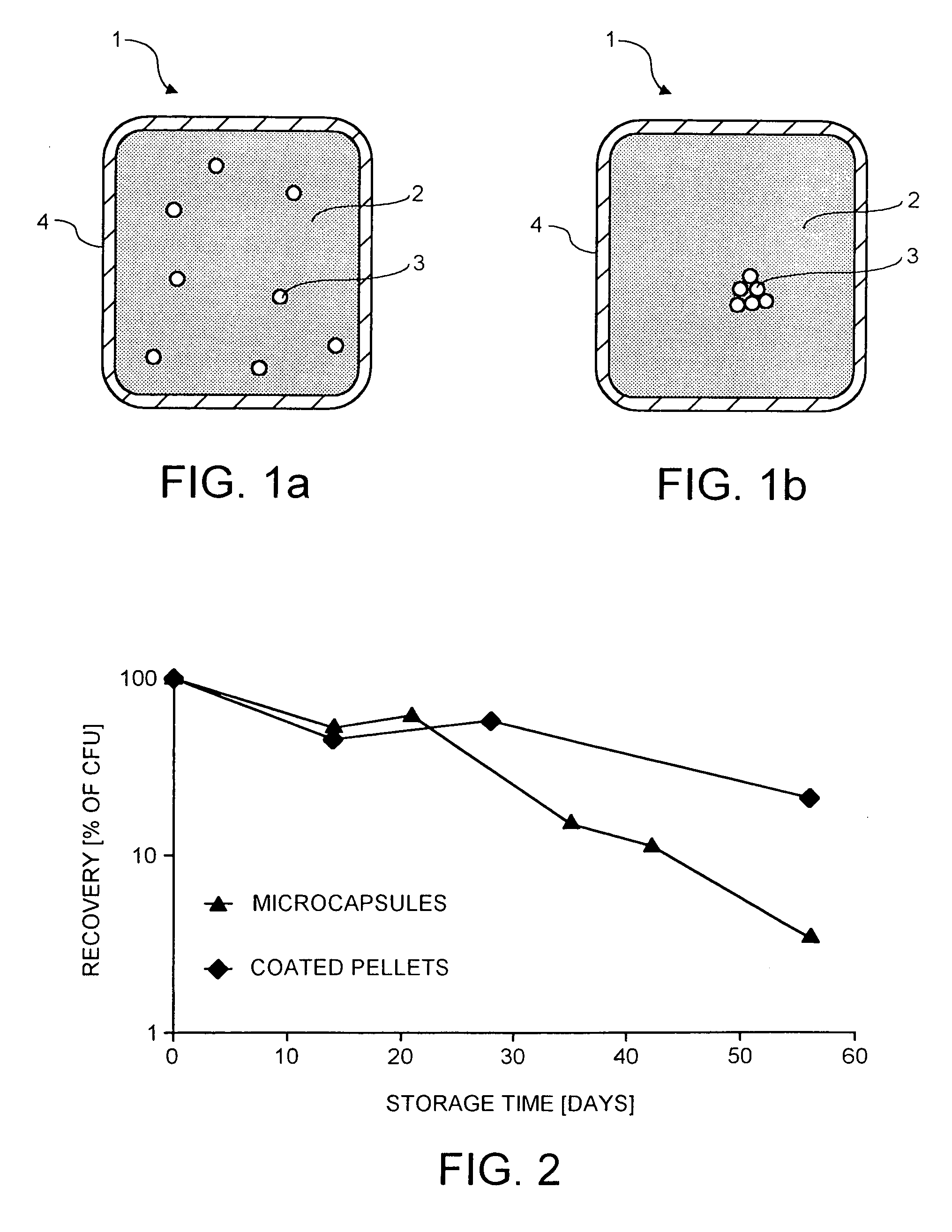 Probiotic delivery system