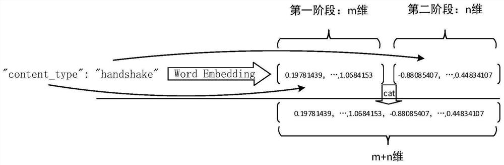 Graph neural network construction method and abnormal flow detection method based on graph neural network