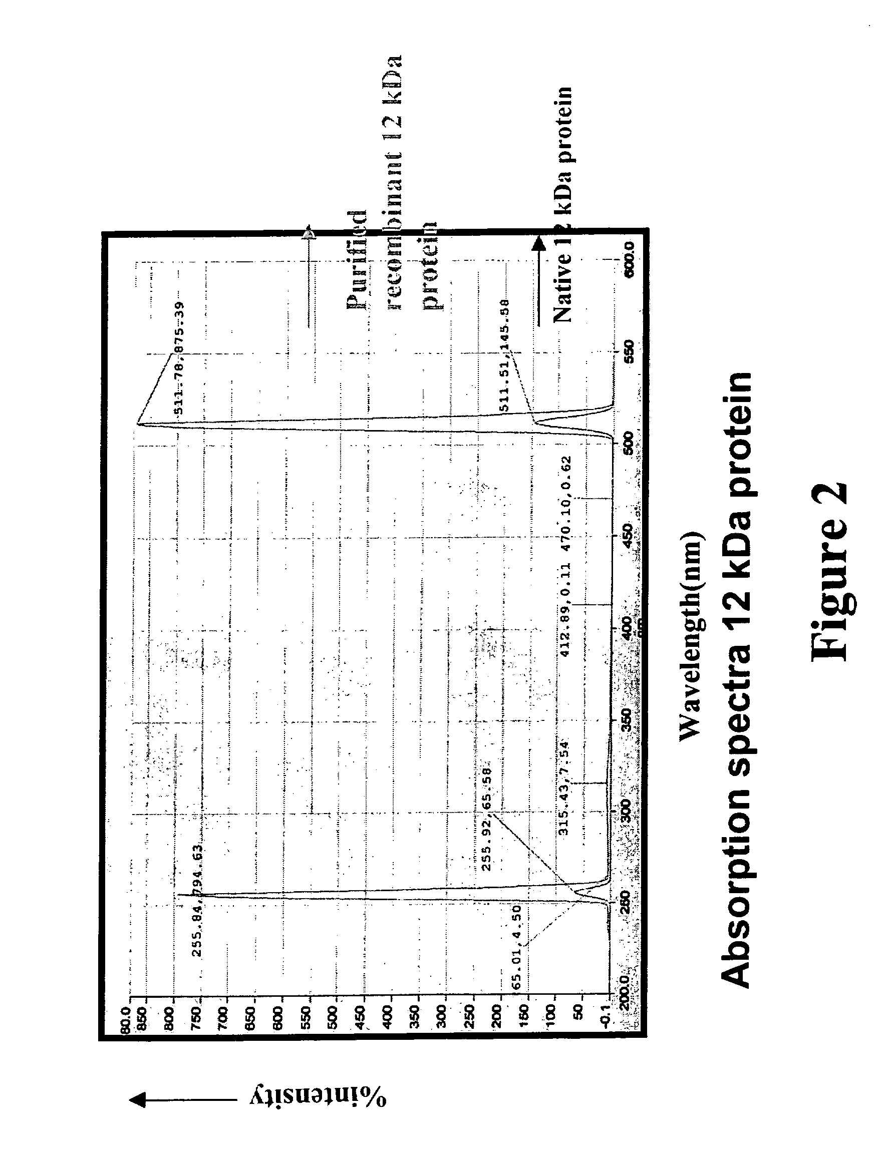 Recombinant 12-KDA protein useful for the detection of respiratory allergies