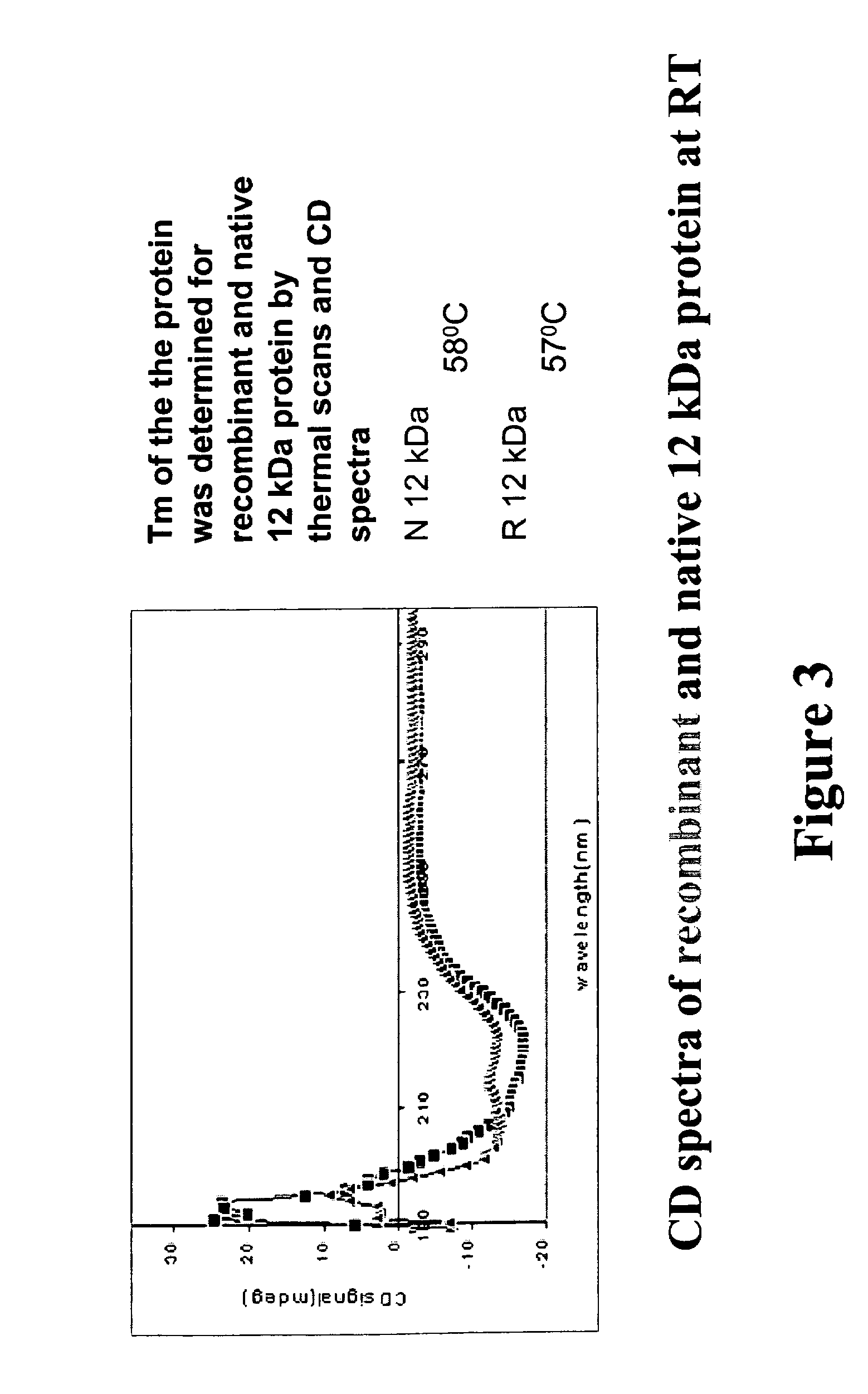 Recombinant 12-KDA protein useful for the detection of respiratory allergies