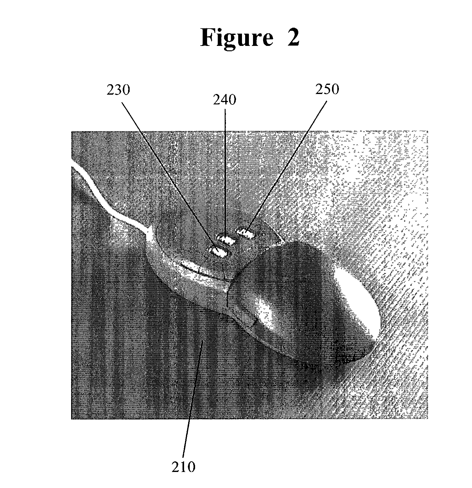 Multi-tactile display haptic interface device