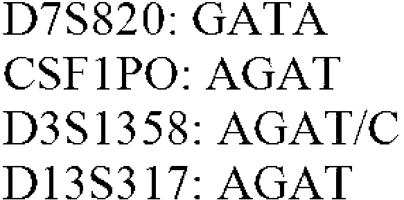 STR (short tandem repeat) sequence high-throughput detection method with base selective controllable extension and detection reagent thereof