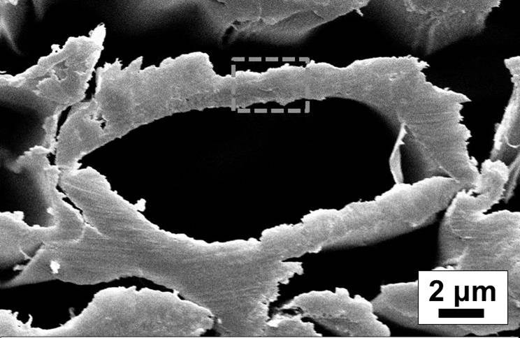 A kind of multifunctional metallized wood material and its preparation method and application