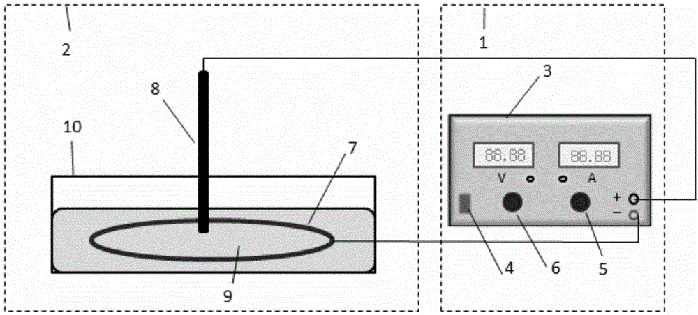 Apparatus and method for preparing metal probe tip