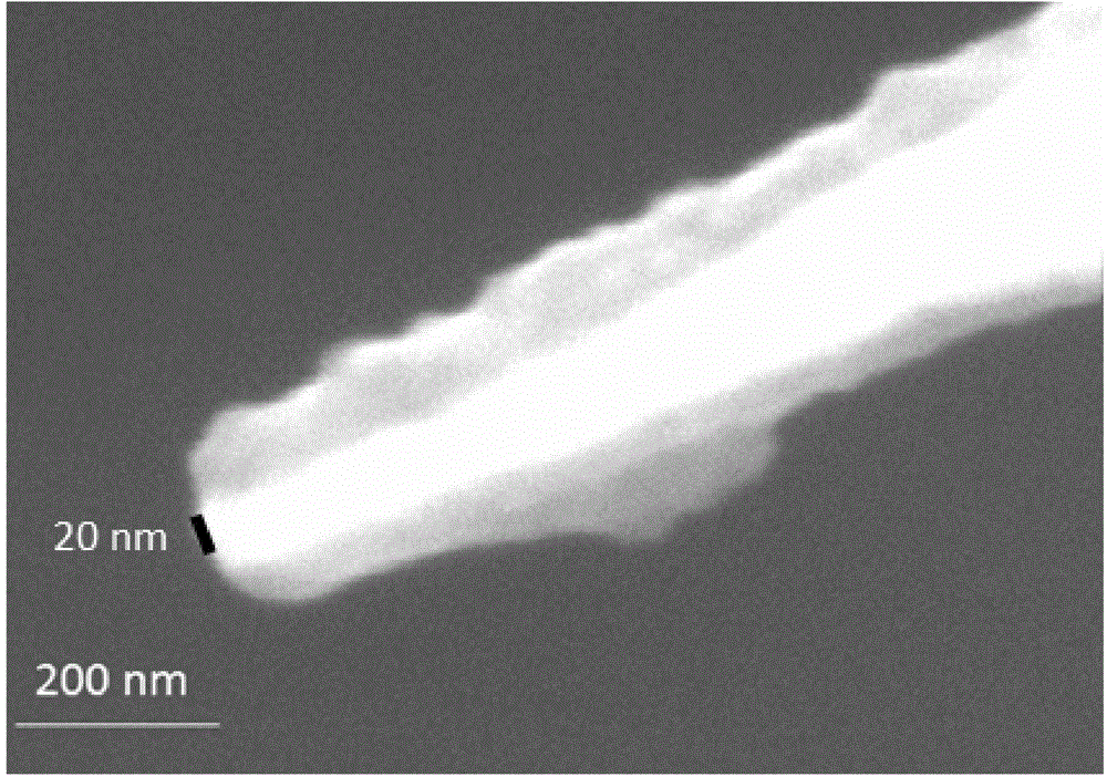 Apparatus and method for preparing metal probe tip