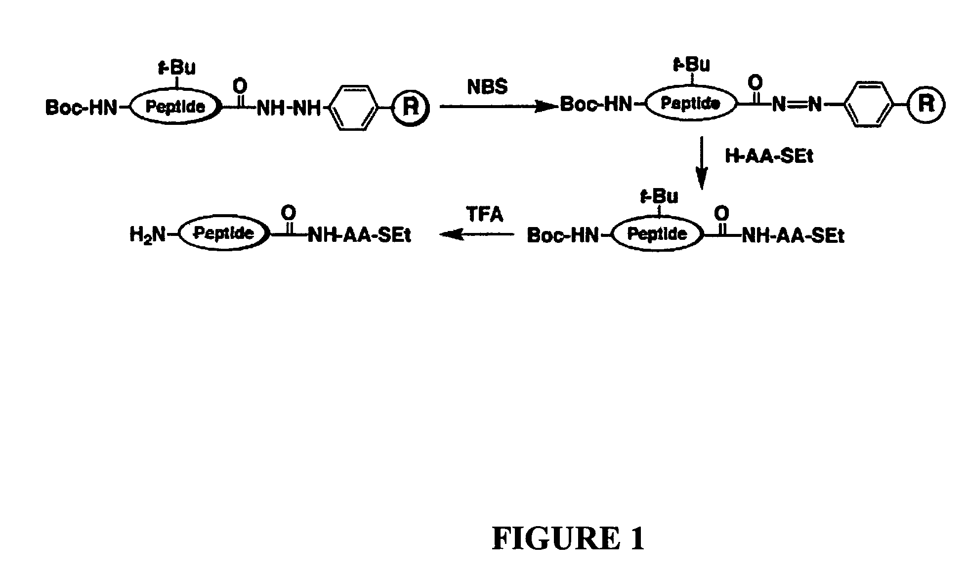 Synthesis of peptide alpha-thioesters