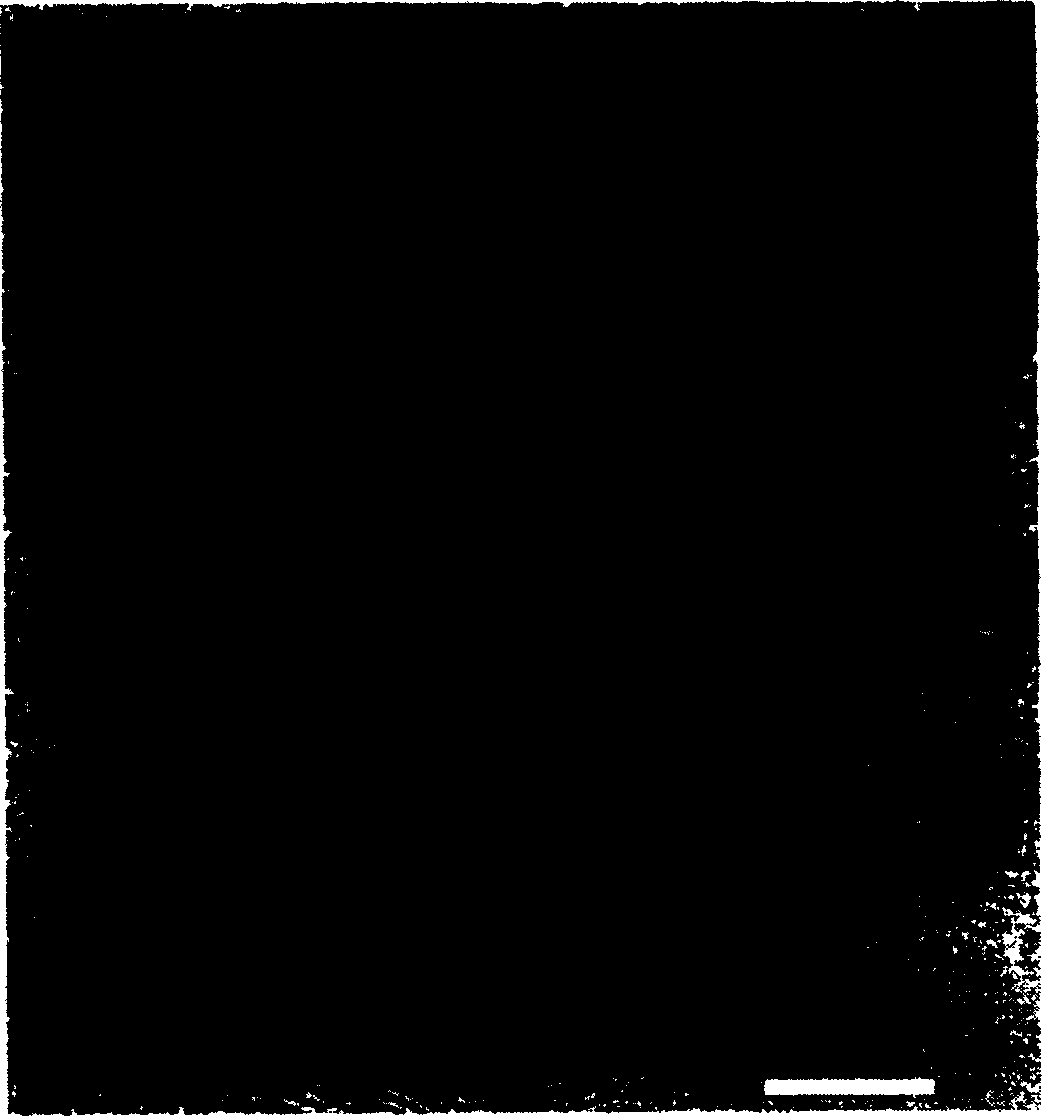 Method for preparing onion-like fullerene by nano-particle catalyzed electric-arc process