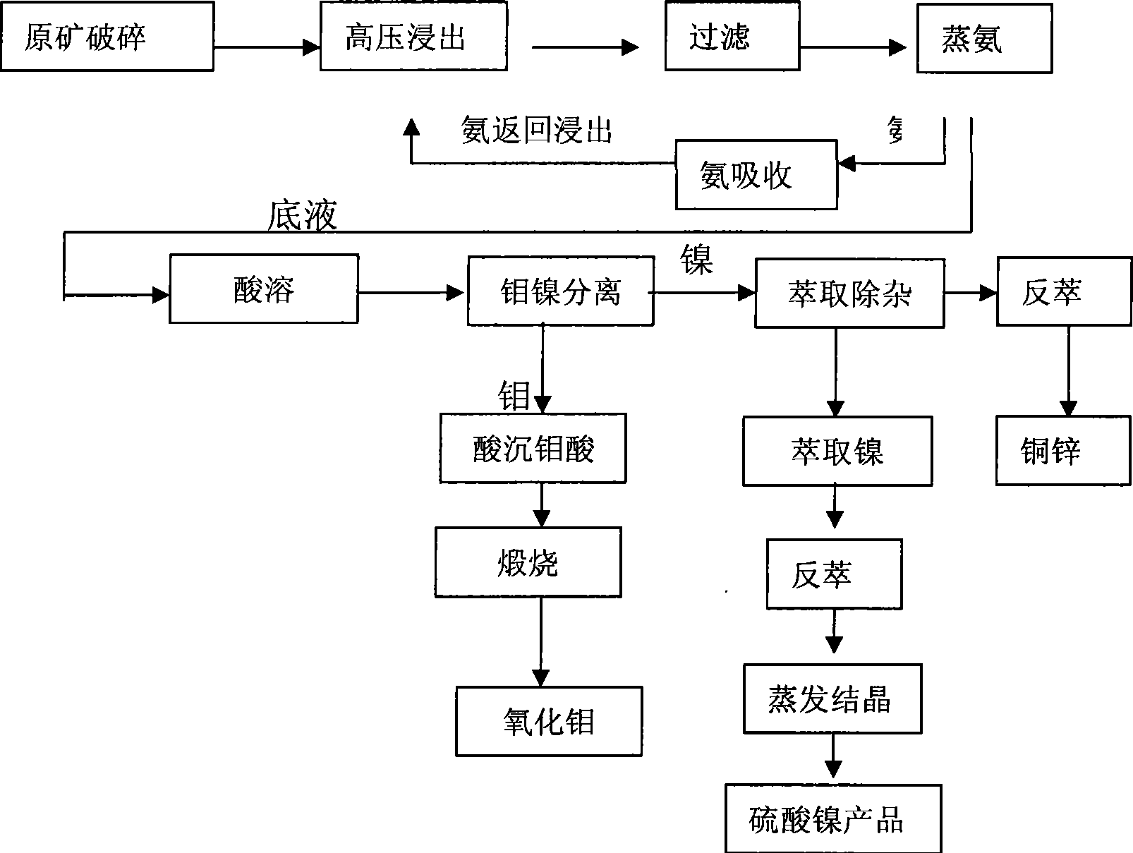 Process for extracting and separating nickel-phase form bone coal ore by high pressure oxygen-ammonia leaching