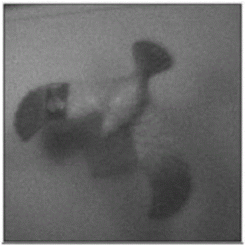 Flame detection method based on multispectral videos