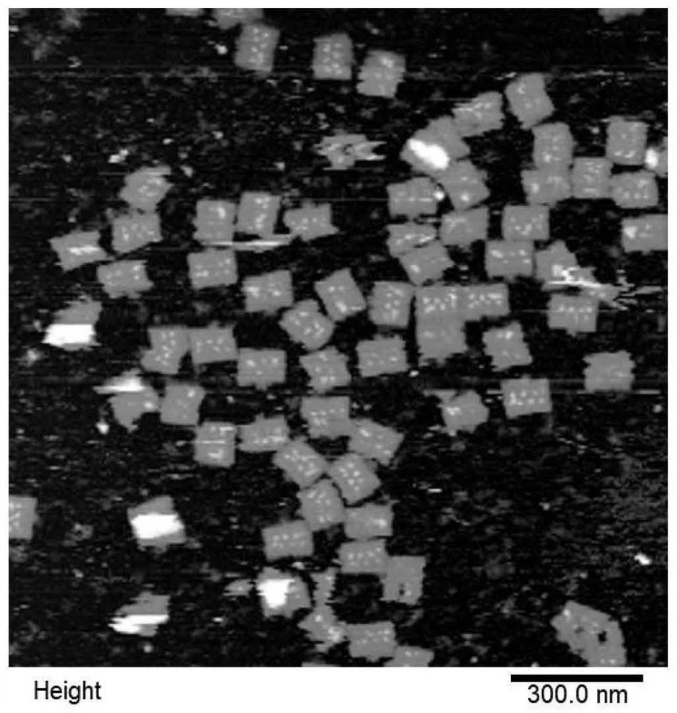 A thrombin-responsive dna nanomachine and its preparation method and application