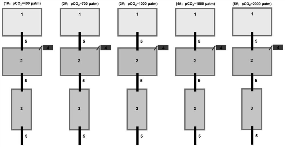 A system and research method for studying the long-term acidification adaptability of macroalgae