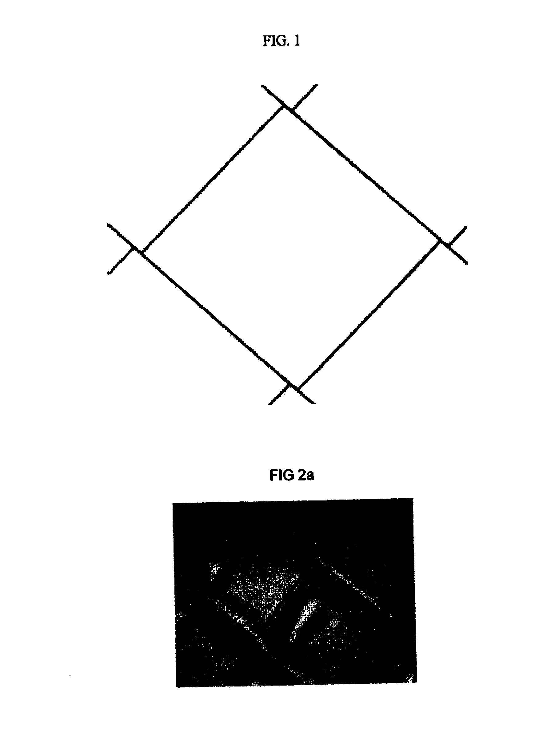 Photocurable composition, article, and method of use