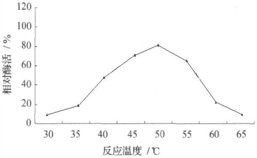 Aspergillus oryzae and application thereof in small-tail han sheep feed