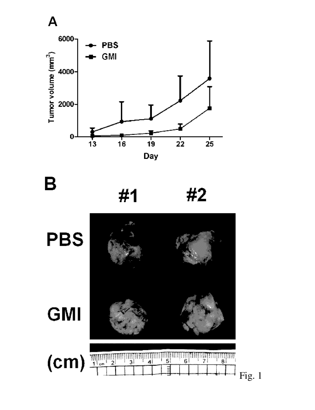 Method for treating a refractory or relapsed lung cancer