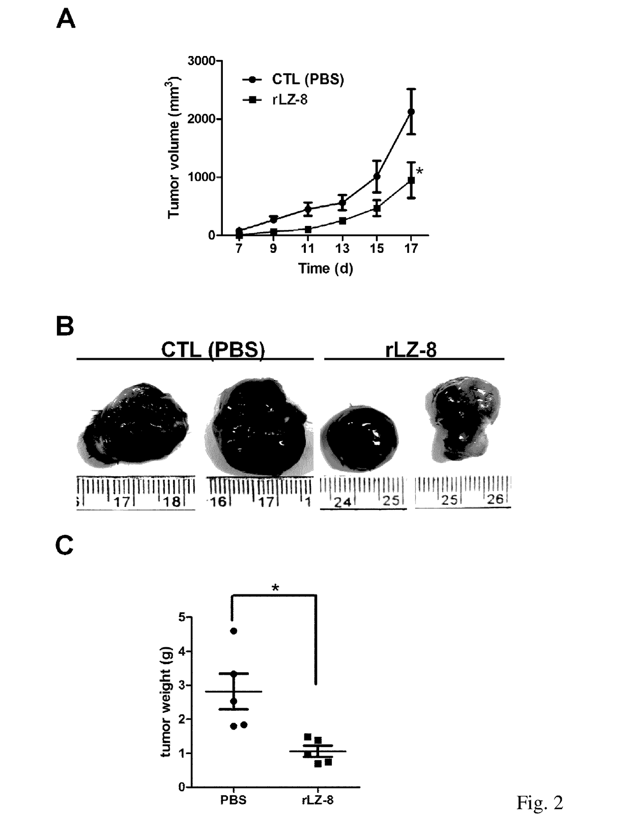 Method for treating a refractory or relapsed lung cancer