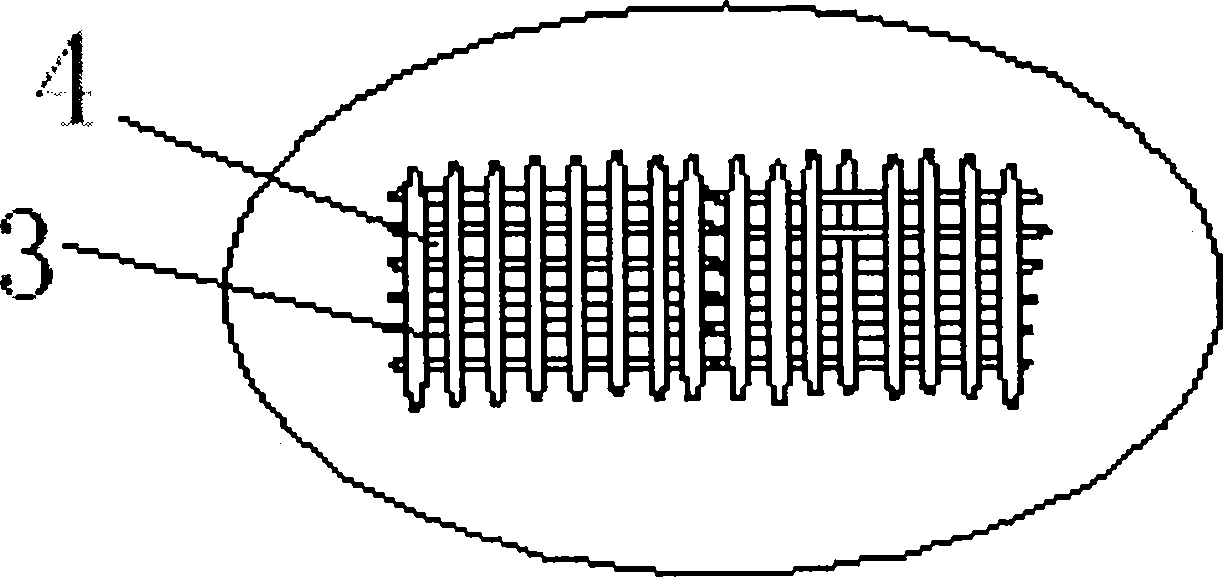 Multifunctional organic plant basal disc and preparation method thereof