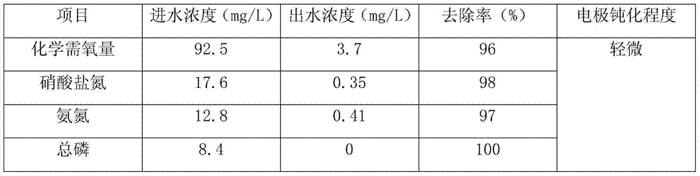 Electrochemical synchronous nitrogen and phosphorus removal apparatus and municipal sewage treatment method