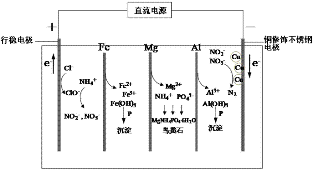 Electrochemical synchronous nitrogen and phosphorus removal apparatus and municipal sewage treatment method