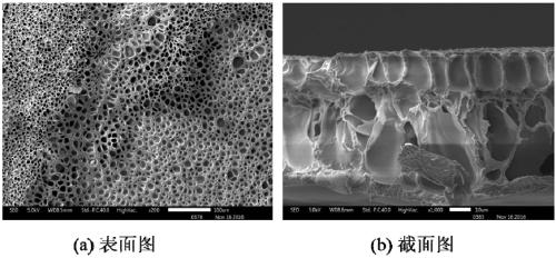 Ordered alkaline anion exchange membrane as well as preparation method and application thereof