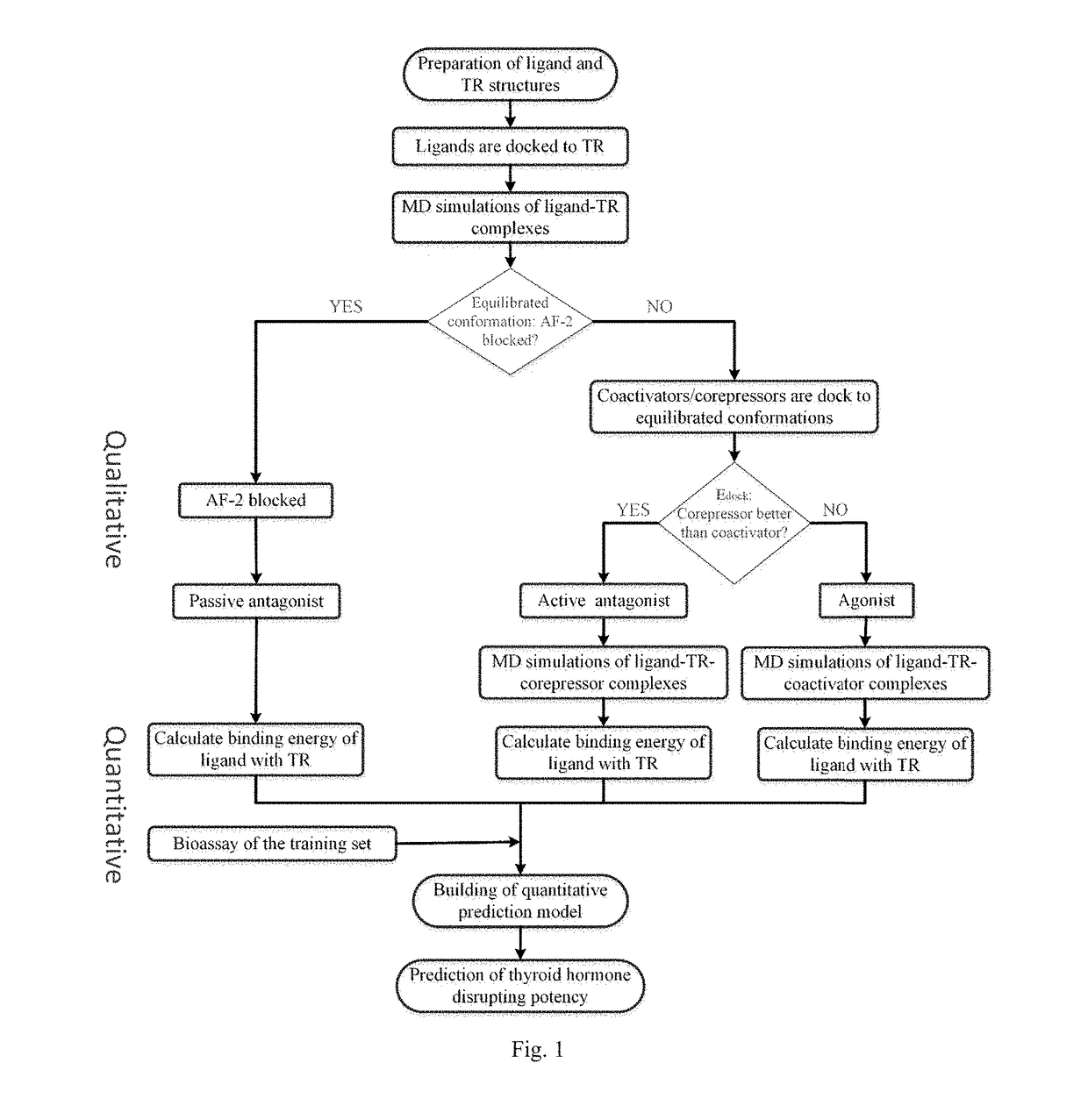 Screening methods for thyroid hormone disruptors based on co-regulator involved simulations