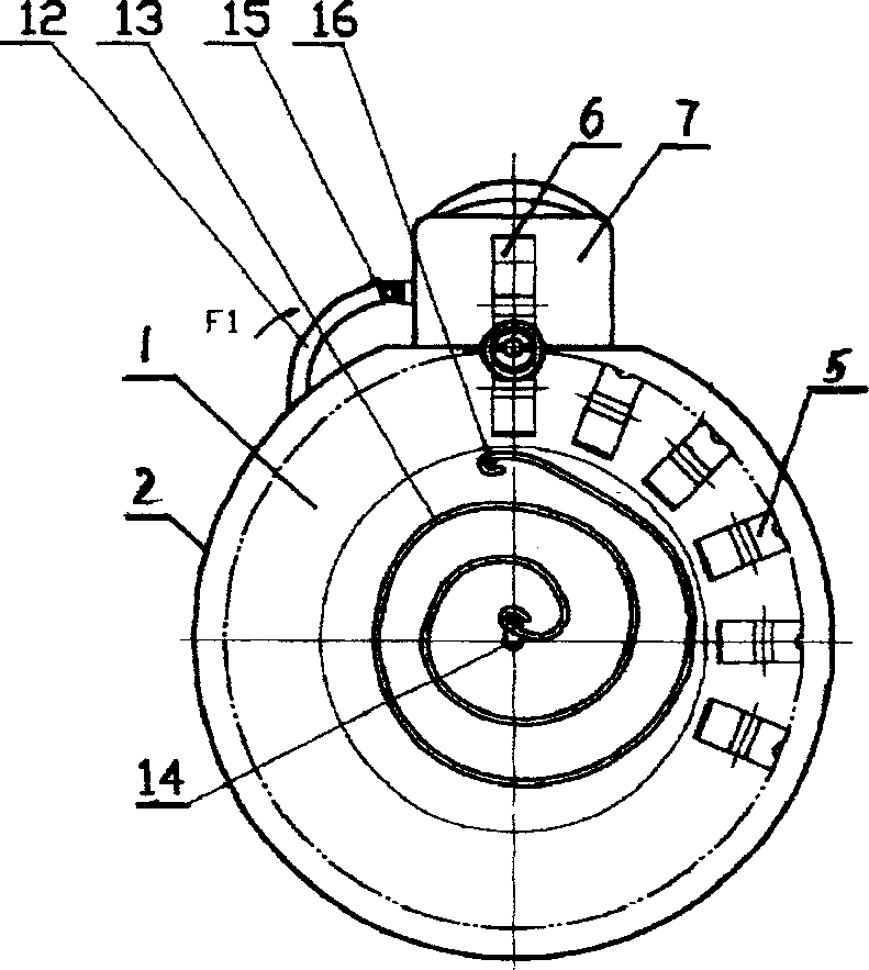 Automatic nail feeder