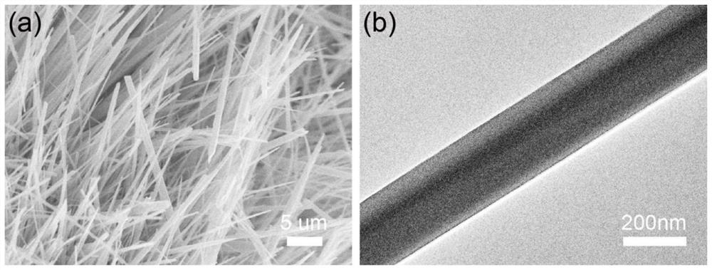 Metal organic framework material with novel structure, metal nitrogen carbon catalyst derived from metal organic framework material, and preparation method and application of metal nitrogen carbon catalyst