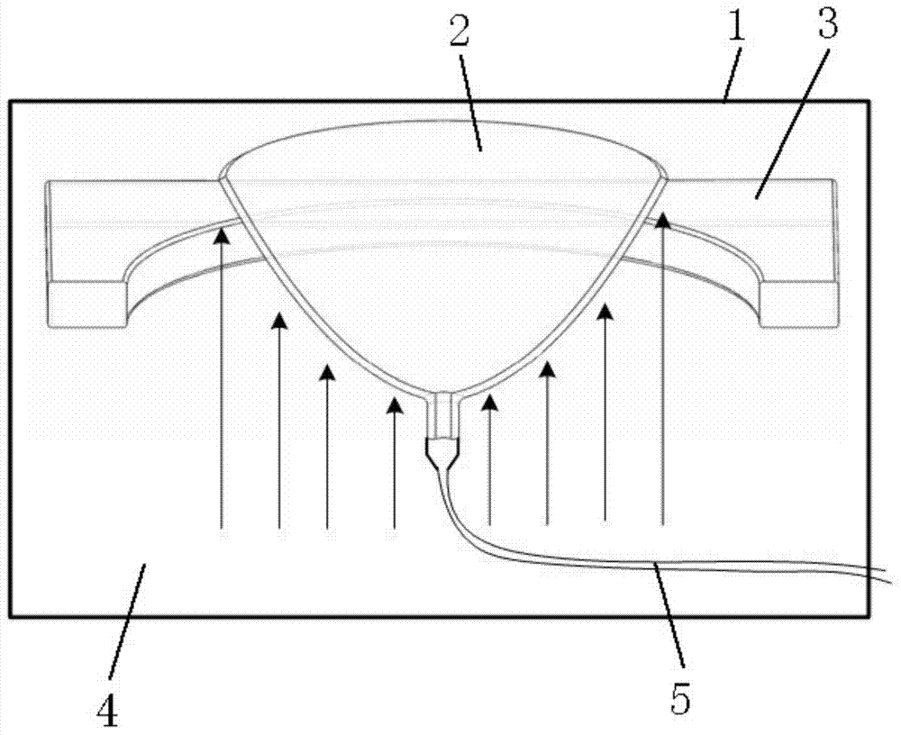 Close-contact ultrasonic coupling adaptive device for photoacoustic/thermoacoustic mammary gland imaging detection, and detection method of adaptive device