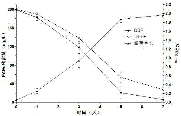 Application of Agromyces sp. MT‑E in Degradation of Various Phthalates