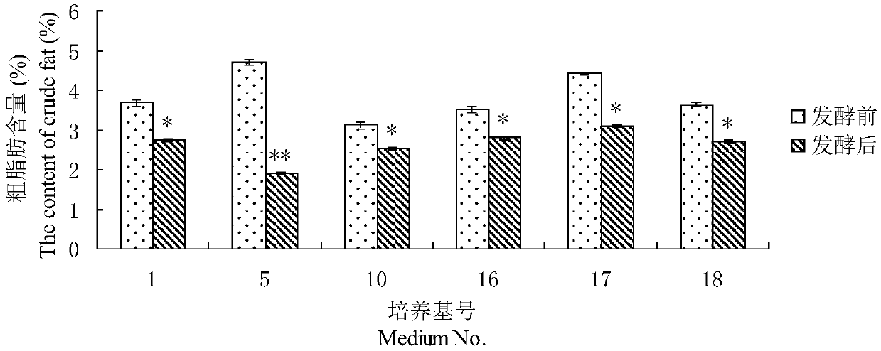 Pleurotus-ostreatus-flavor high-nutritive corn flour and preparation method and application thereof