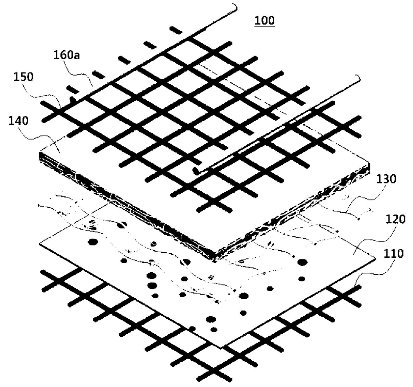 Vegetation mat for protecting the bank of river and slope, and fixing apparatus used in same