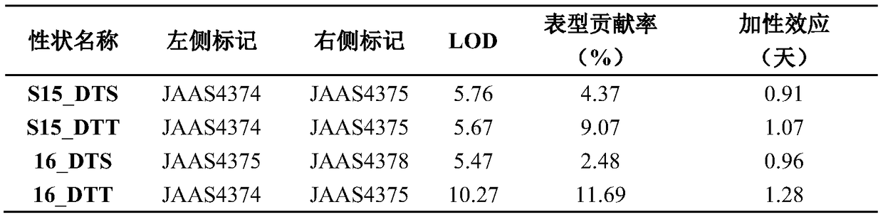 Molecular marker of QTL (quantitative trait loci) loci in flowering period of maize chromosome 9 and application of molecular marker of QTL loci in flowering period of maize chromosome 9