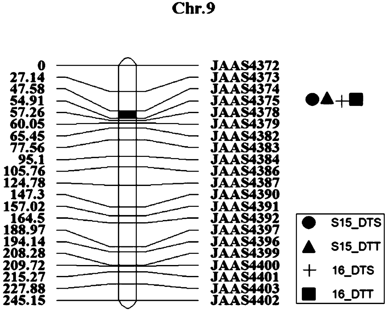 Molecular marker of QTL (quantitative trait loci) loci in flowering period of maize chromosome 9 and application of molecular marker of QTL loci in flowering period of maize chromosome 9