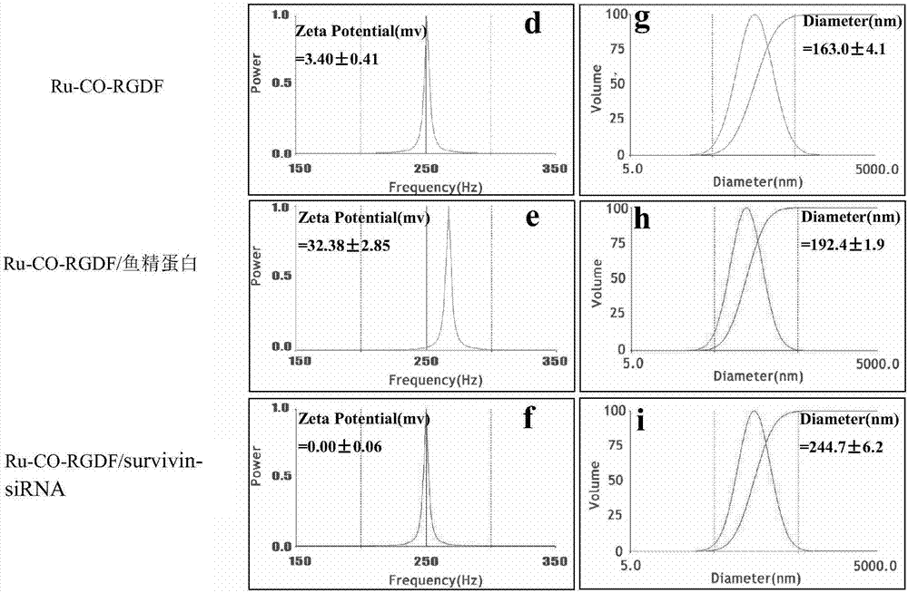 Preparation and evaluation of novel RGDF-targeting ruthenium polypyridine coordination compound vector