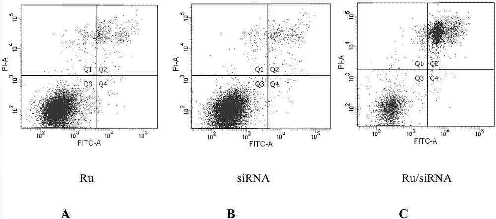 Preparation and evaluation of novel RGDF-targeting ruthenium polypyridine coordination compound vector