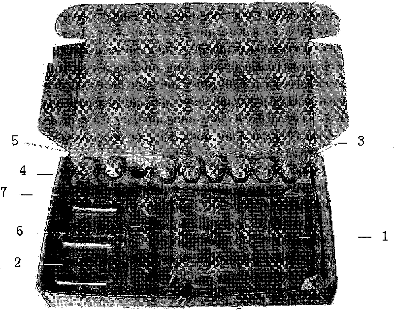 Time-resolved fluoroimmunoassay kit for detecting fumonisins B1 and detection method thereof