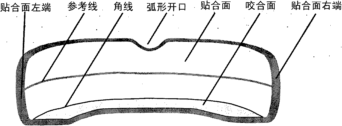 Denture for oral care and topical application of drug