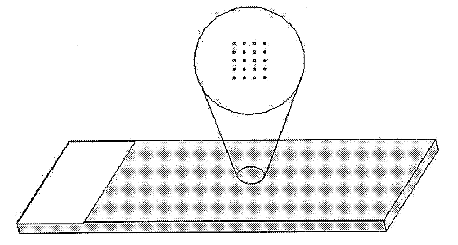 The biochip for the detection of phosphorylation and the detection method using the same