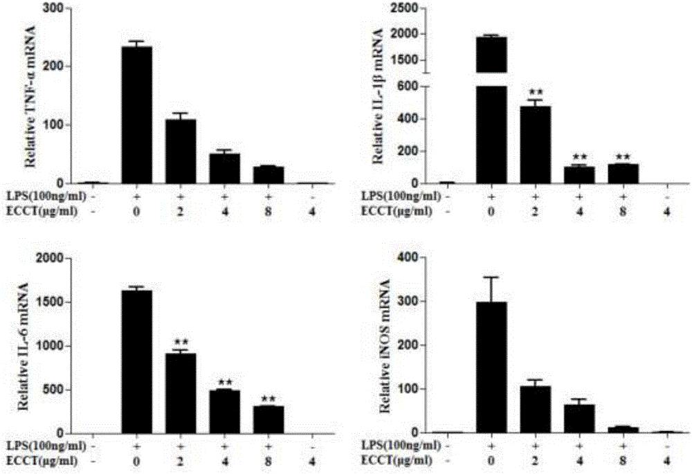 Natural anti-infection anti-tumor double-function polypeptide ECCT and gene and application thereof