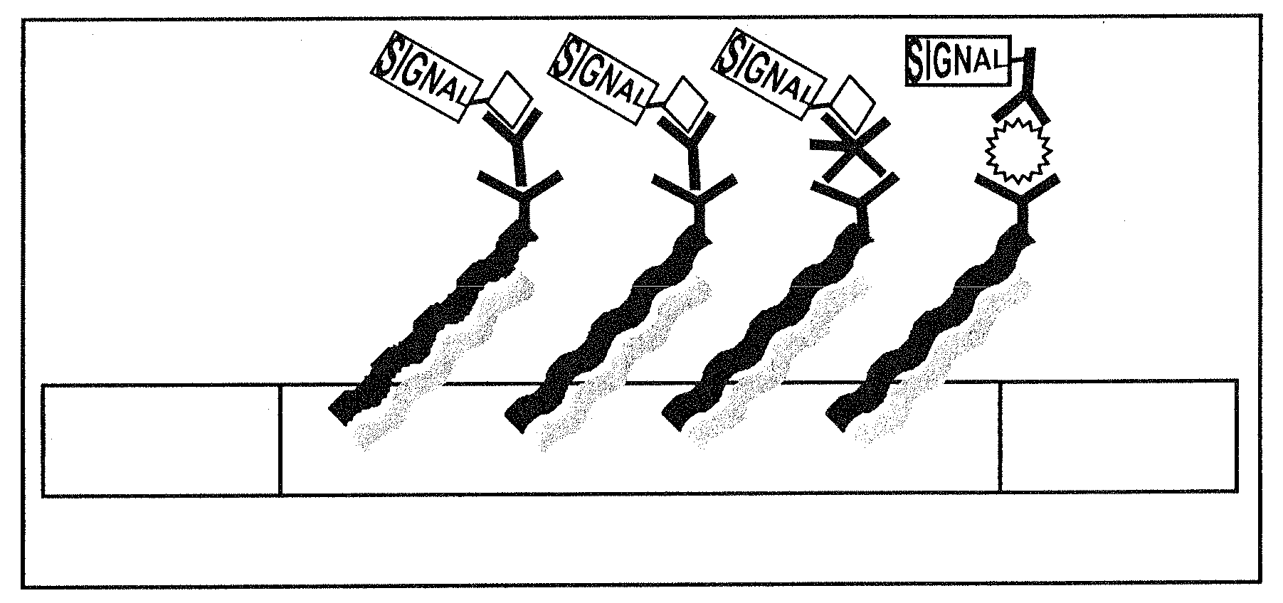 Linear nucleic acid and sequence therefor