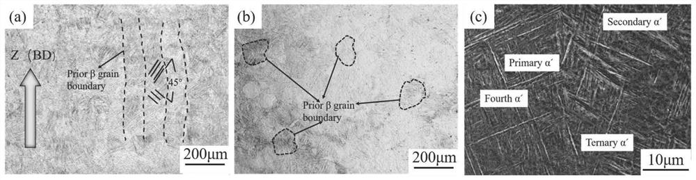 Heat treatment method for obtaining tri-state structure in SLM forming titanium alloy