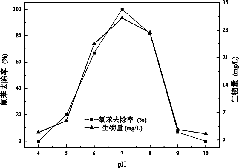 Ralstoniapickettii H2 with chlorobenzene degrability and applications thereof