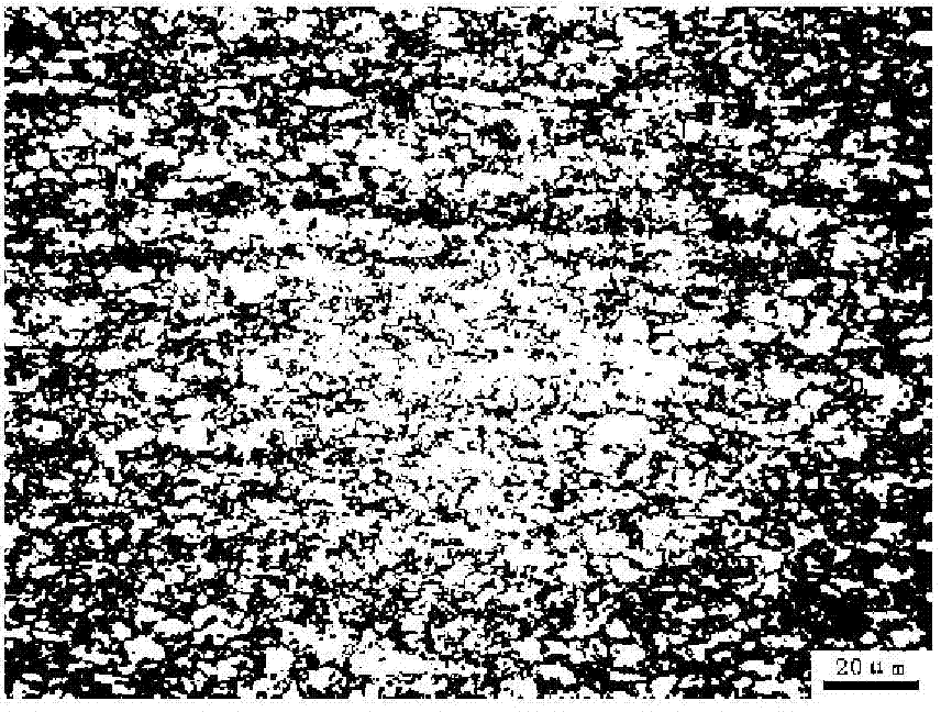 Retained austenite contained dual phase steel color metallography coloring agent and coloring display method